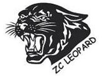 ZCI Ltd.